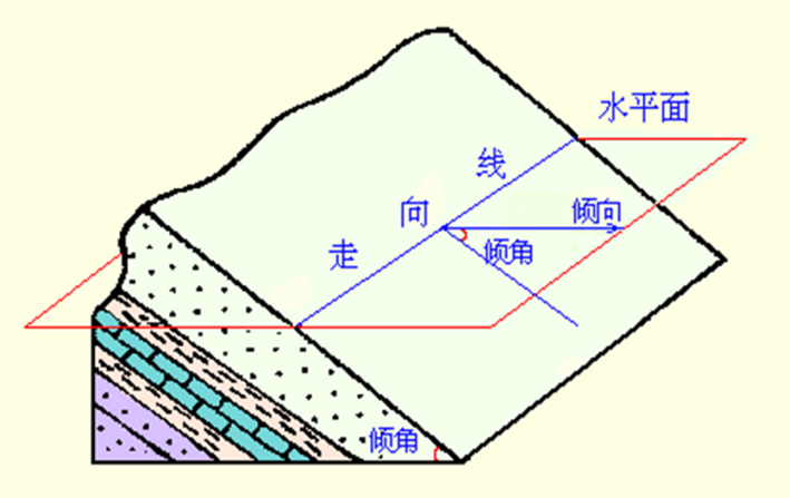 基地教学